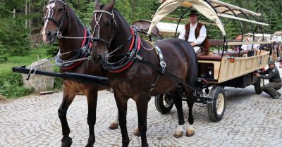 Morskie Oko: od nowego roku konie zostają na trasie; za mało „elektryków”